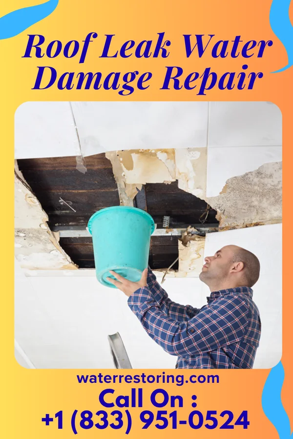 Roof Leak Water Damage Repair in Garden Plain, KS
